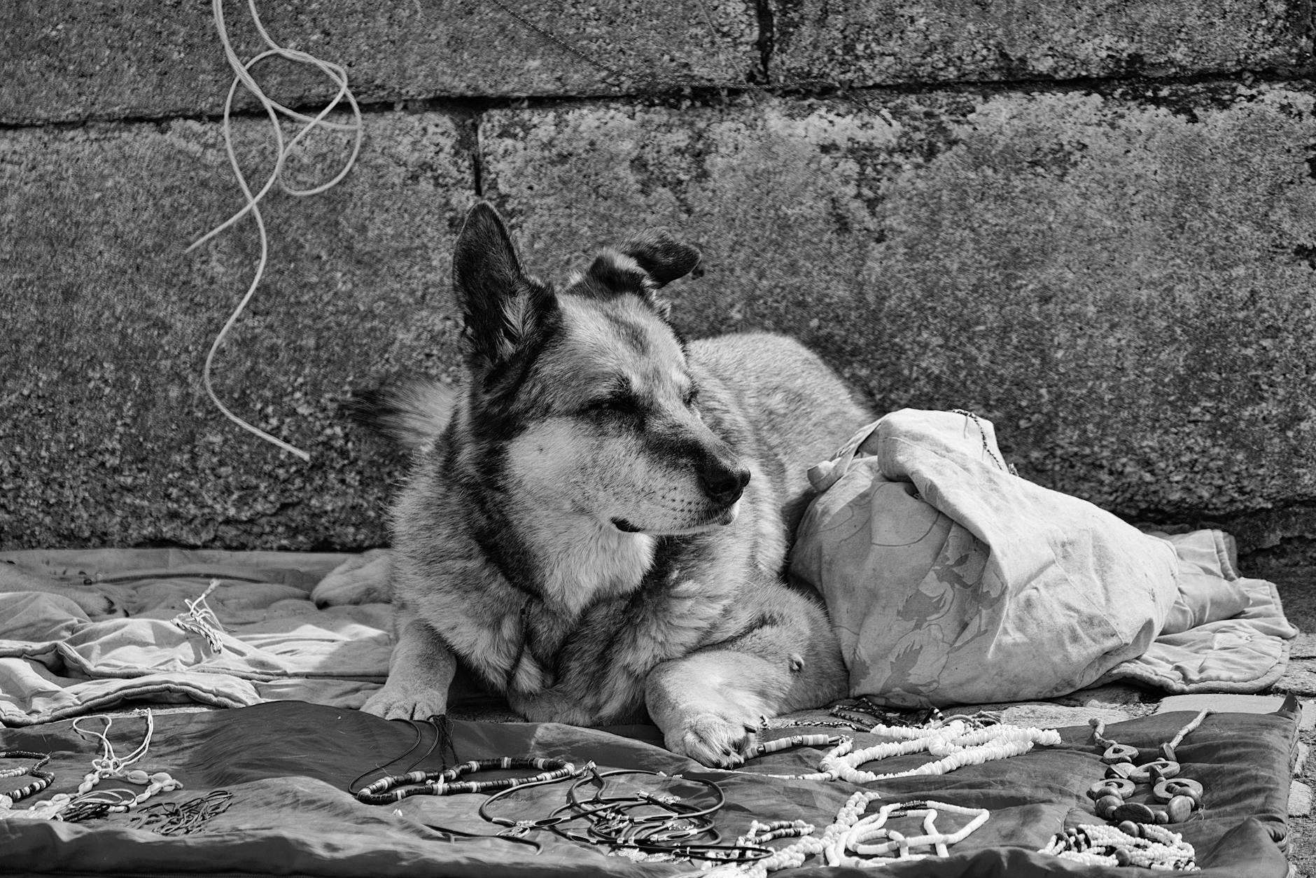Gryf Słupsk remisuje z Gryfem Wejherowo 2:2
