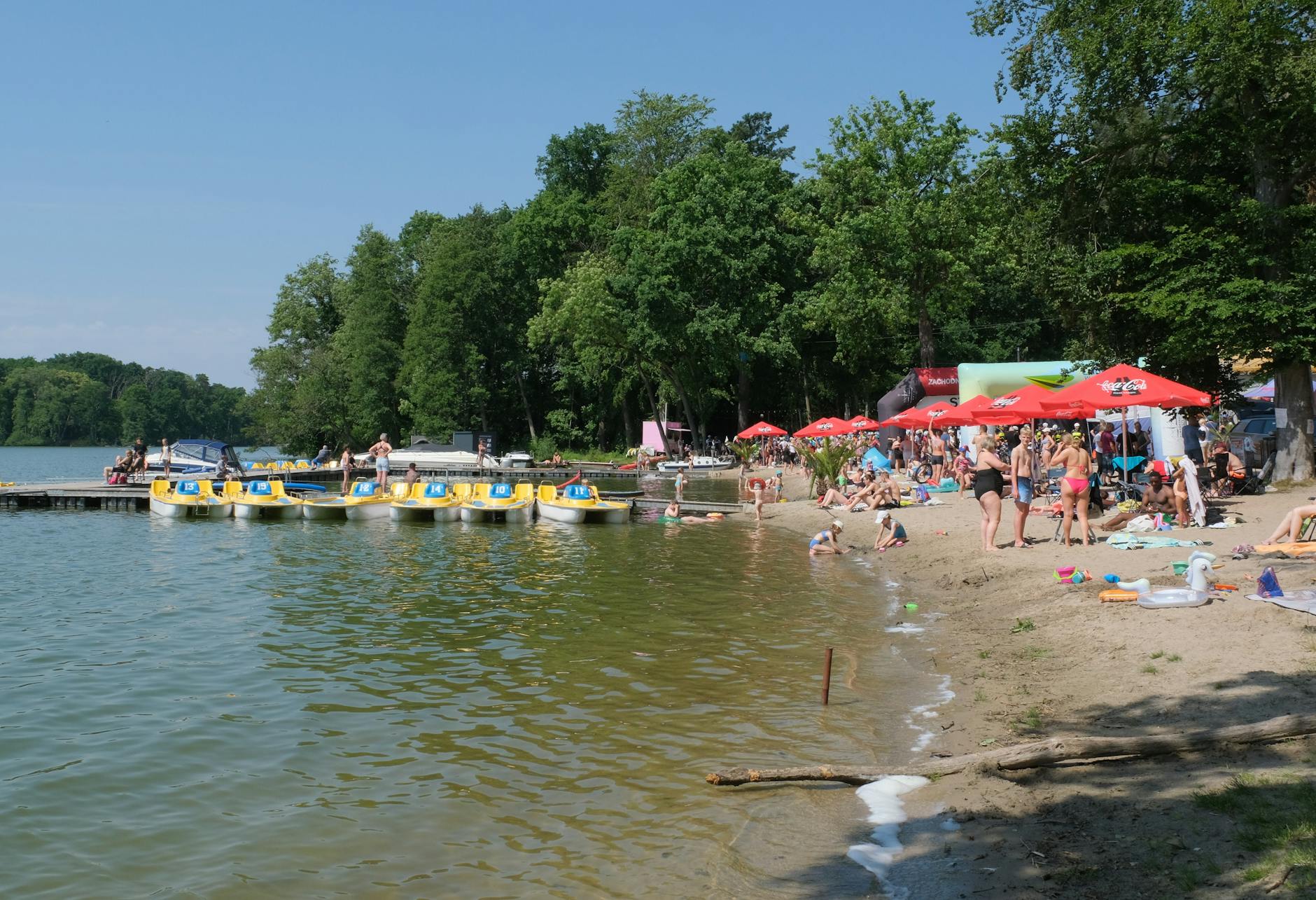 Urokliwy park w Wejherowie ozdobiony wiosennymi kwiatami podczas majówki.